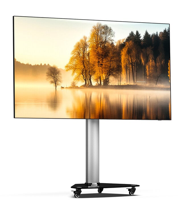 Proton 100 TV Floor Stand