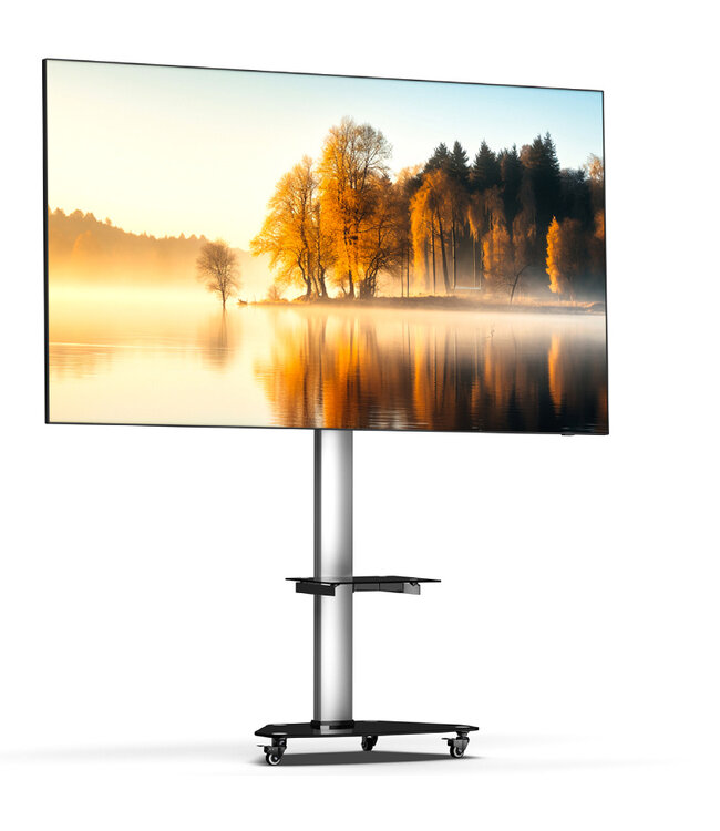 Proton 300 TV Floor Stand