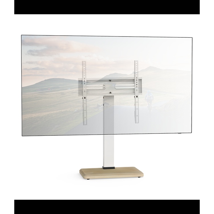TS1025 TV Table Stand